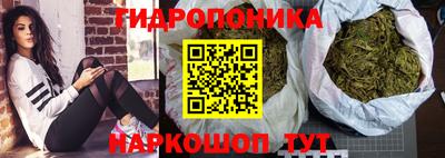 ПСИЛОЦИБИНОВЫЕ ГРИБЫ Кандалакша